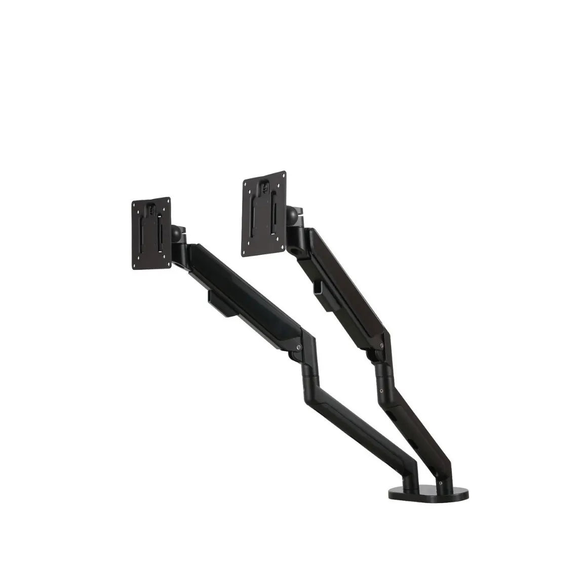 ZB200 Dual Monitor Arm